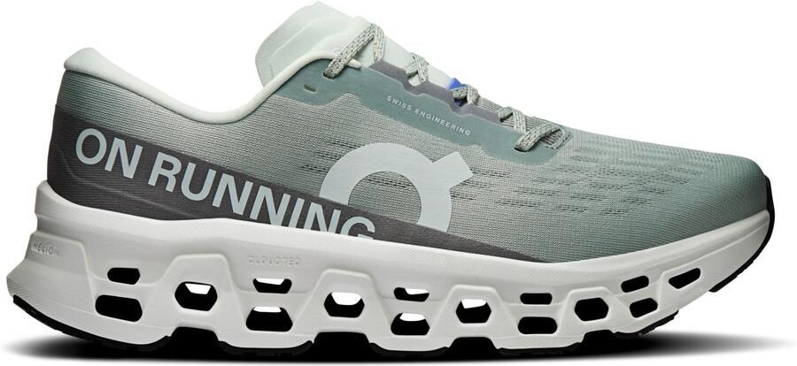 On Cloudm ster 3 Hardloopschoenen grijs