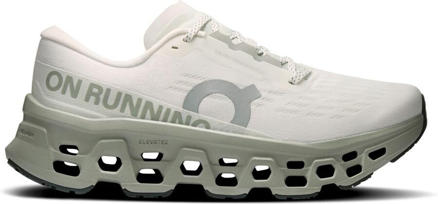 On Women's Cloudm ster 3 Hardloopschoenen grijs