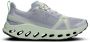 On Women's Cloudsurfer Trail Trailrunningschoenen grijs - Thumbnail 2