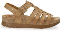 Panama Jack Sasha B2 Sandalen cognac Nubuck Dames - Cognac