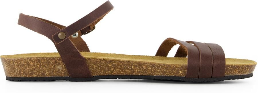 Plakton Women's Alou Sandalen bruin
