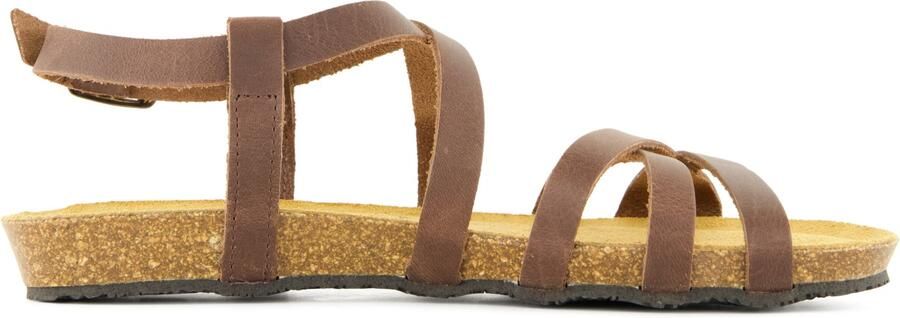 Plakton Women's Fran Vali Sandalen bruin