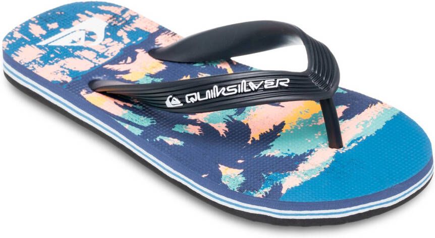 Quiksilver Kid's Molokai Art 25 Sandalen blauw