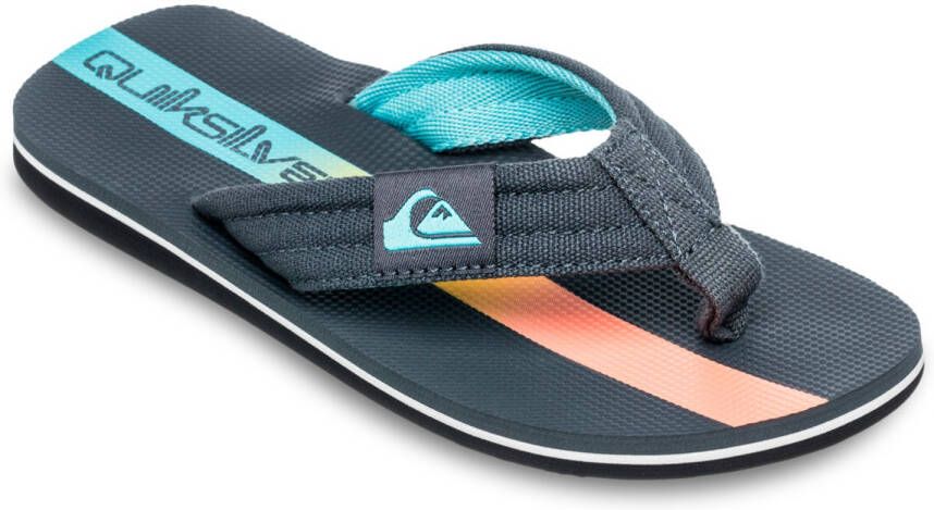 Quiksilver Kid's Molokai Layback II Sandalen blauw
