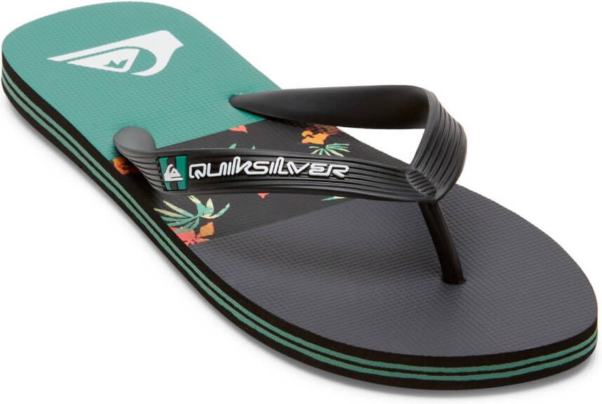 Quiksilver Molokai Stripe Sandalen meerkleurig
