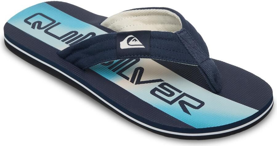 Quiksilver Molokai Layback Sandalen blauw