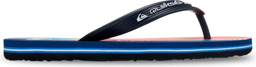 Quiksilver Youth's Molokai Art 26 Sandalen blauw
