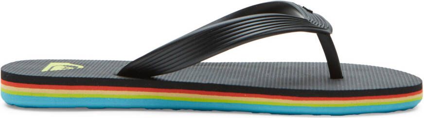 Quiksilver Youth Molokai Core Sandalen grijs