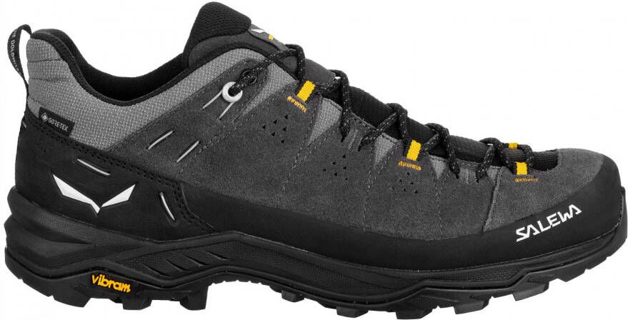 Salewa Alp Trainer 2 GTX Multisportschoenen zwart