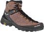 Salewa Alp Trainer 2 Mid GTX Wandelschoenen zwart bruin - Thumbnail 1