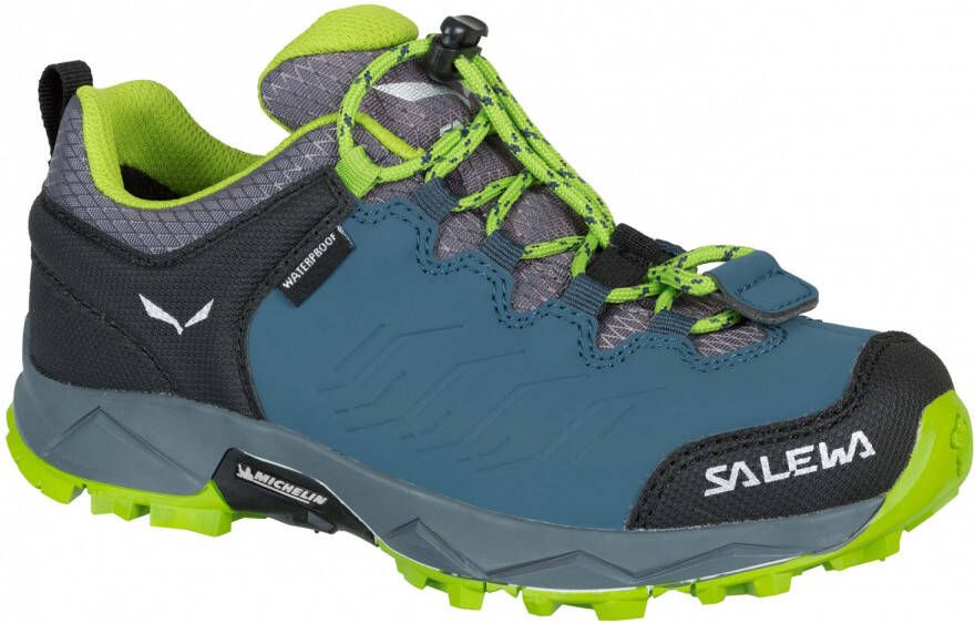 Salewa Kid's MTN Trainer WP Multisportschoenen blauw