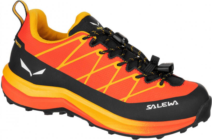 Salewa Kid's Wildfire 2 PTX Multisportschoenen meerkleurig