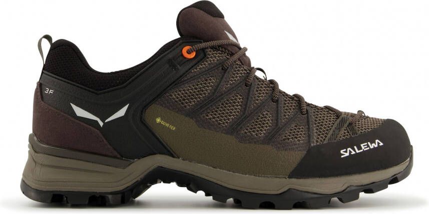 Salewa Mtn Trainer Lite Goretex Approachschoenen Bruin Zwart Man