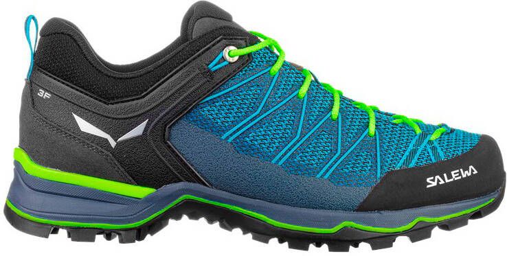 Salewa MS Mountain Trainer Lite Multisportschoenen meerkleurig