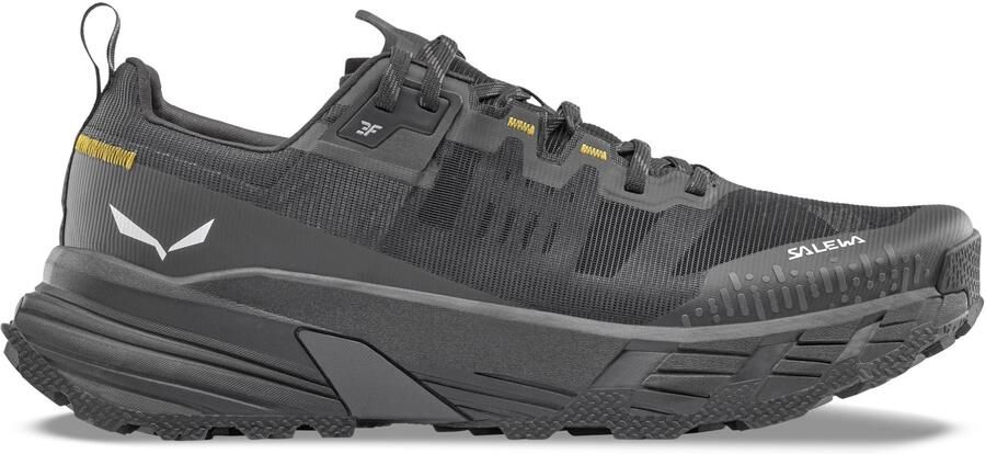 Salewa Pedroc 2 Max Multisportschoenen grijs