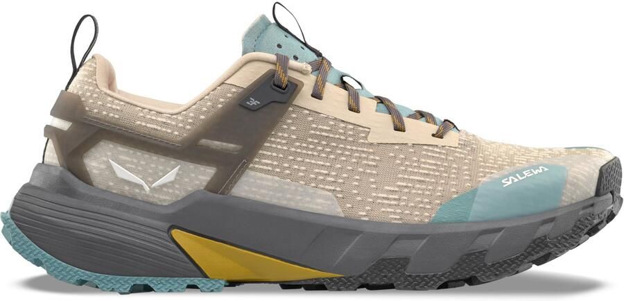 Salewa Pedroc 2 Multisportschoenen grijs