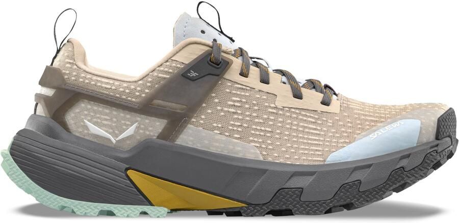 Salewa Women's Pedroc 2 Multisportschoenen grijs