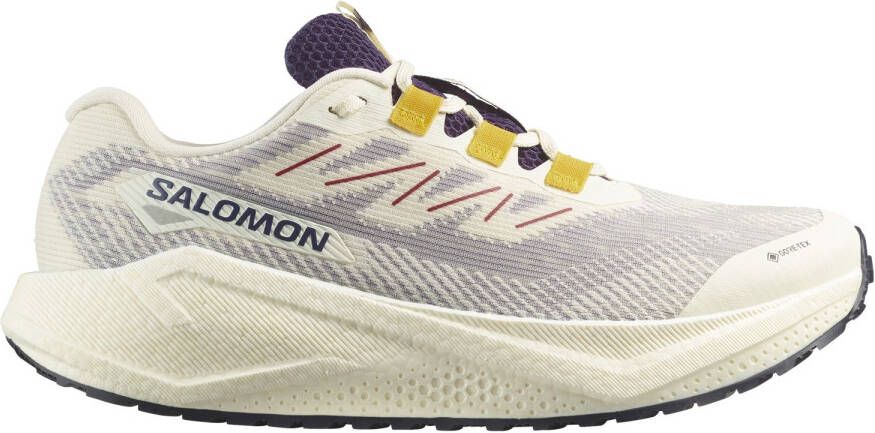 Salomon Aero Blaze 3 Grvl GTX Hardloopschoenen 2 3 grijs