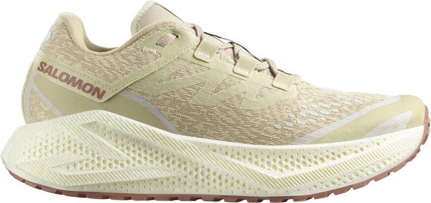 Salomon Aero Glide 3 GRVL Hardloopschoenen beige