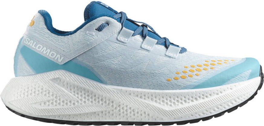 Salomon Aero Glide 3 GRVL Hardloopschoenen grijs