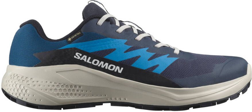 Salomon Alphaglide GORE-TEX Trailrunningschoenen 2 3 blauw