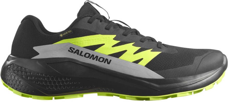 Salomon Alphaglide GORE-TEX Trailrunningschoenen 1 3 zwart