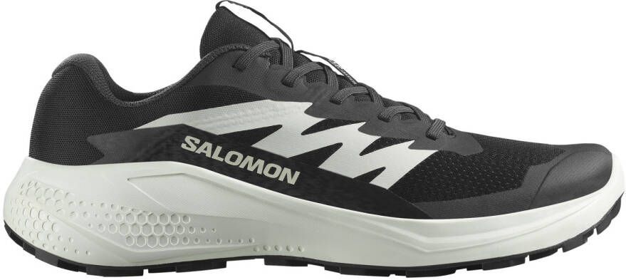 Salomon Alphaglide Trailrunningschoenen grijs