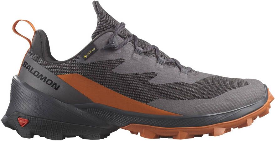 Salomon Cross Over 2 GTX Multisportschoenen grijs