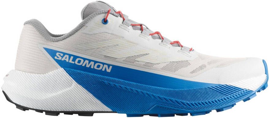 Salomon Pulsar Trailrunningschoenen 1 3 grijs
