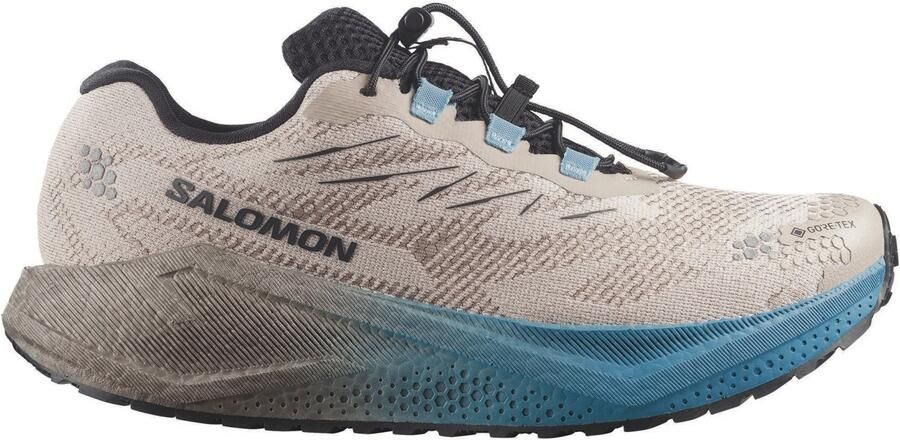 Salomon Aero Blaze 4 GRVL GTX Hardloopschoenen 2 3 oxford tan niagara