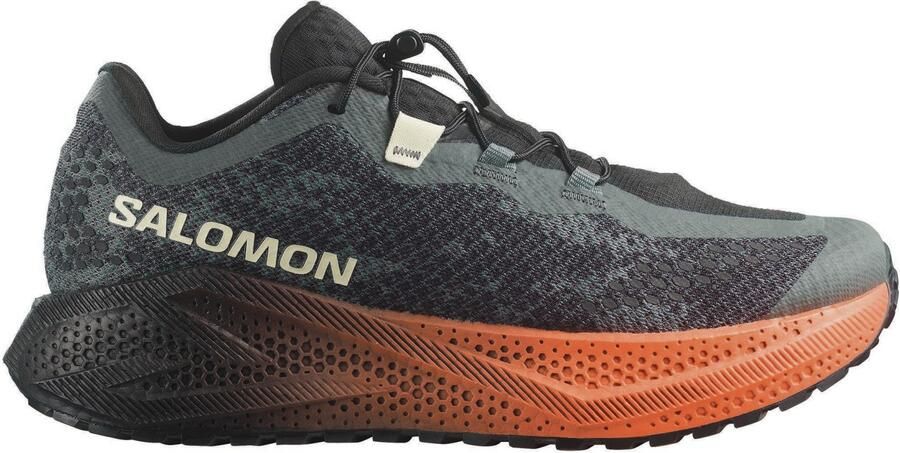 Salomon Aero Glide 4 GRVL Hardloopschoenen 1 3 urban chic groen