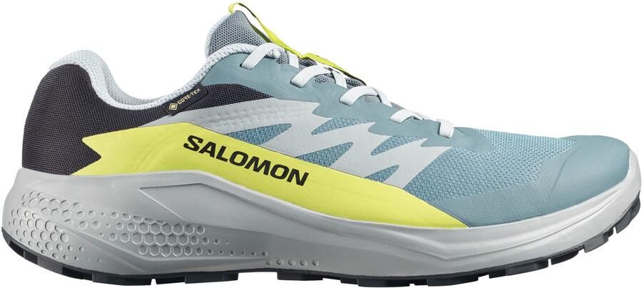 Salomon Alphaglide GORE-TEX Trailrunningschoenen 2 3 grijs