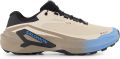 Salomon Genesis 2 GTX Trailrunningschoenen beige - Beige