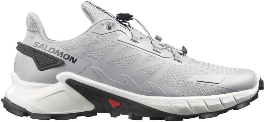 Salomon Supercross 4 Trailrunningschoenen 1 3 grijs