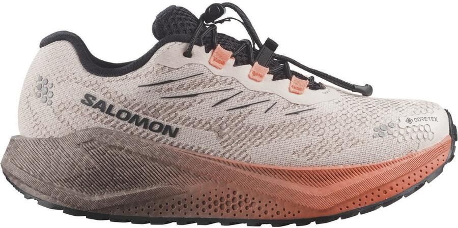 Salomon Women's Aero Blaze 4 GRVL GTX Hardloopschoenen 1 3 rainy day nectarine