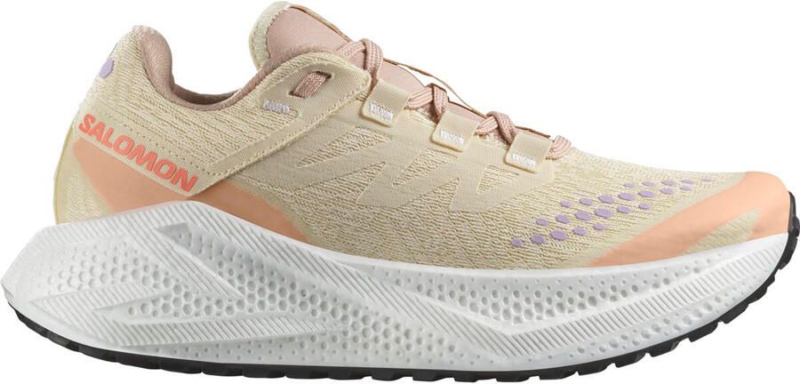 Salomon Women's Aero Glide 3 GRVL Hardloopschoenen 1 3 beige