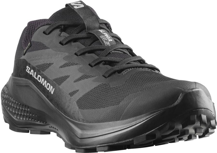 Salomon Women's Alphaglide GORE-TEX Trailrunningschoenen 1 3 grijs