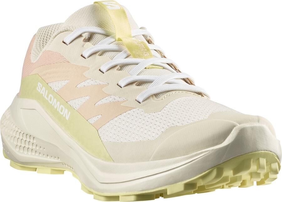 Salomon Women's Alphaglide Trailrunningschoenen 1 3 beige