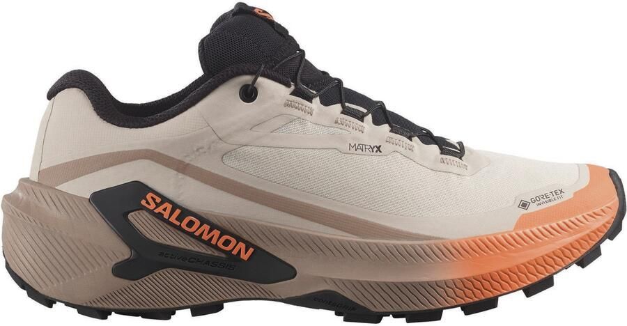 Salomon Women's Genesis 2 GTX Trailrunningschoenen 1 3 bruin