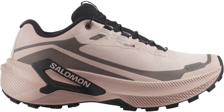 Salomon Women's Genesis 2 GTX Trailrunningschoenen 1 3 bruin
