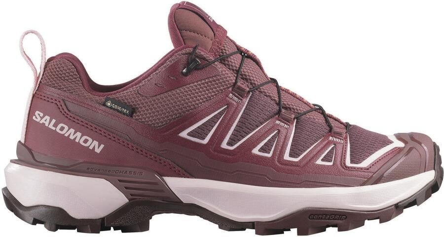 Salomon Women's X Ultra 360 Edge GTX Multisportschoenen 2 3 purper bruin