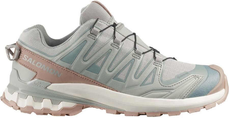 Salomon Women's XA Pro 3D V9 GORE-TEX Lifelong Multisportschoenen 2 3 grijs