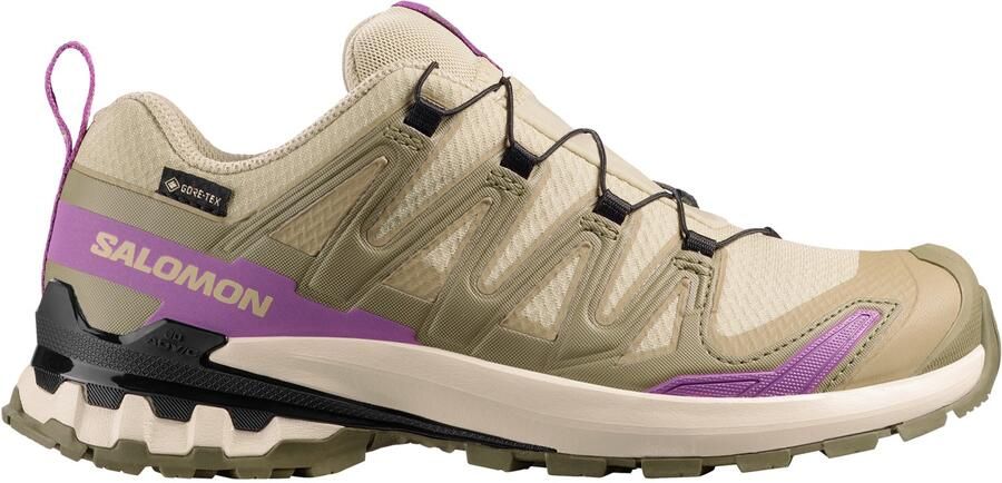 Salomon Women's XA Pro 3D V9 GTX Multisportschoenen 2 3 beige