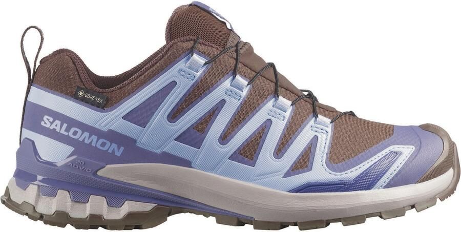 Salomon Women's XA Pro 3D V9 GTX Multisportschoenen 2 3 grijs