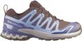 Salomon Women's XA Pro 3D V9 GTX Multisportschoenen 2 3 grijs - Grijs