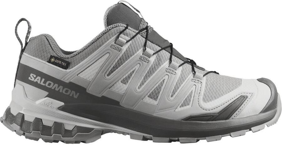 Salomon Women's XA Pro 3D V9 GTX Multisportschoenen 2 3 grijs