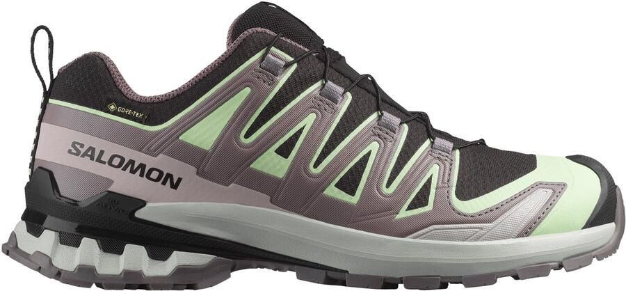 Salomon Women's XA Pro 3D V9 GTX Multisportschoenen 2 3 grijs - Foto 2