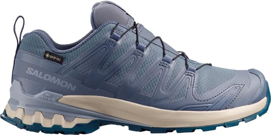 Salomon Women's XA Pro 3D V9 GTX Multisportschoenen 2 3 grijs