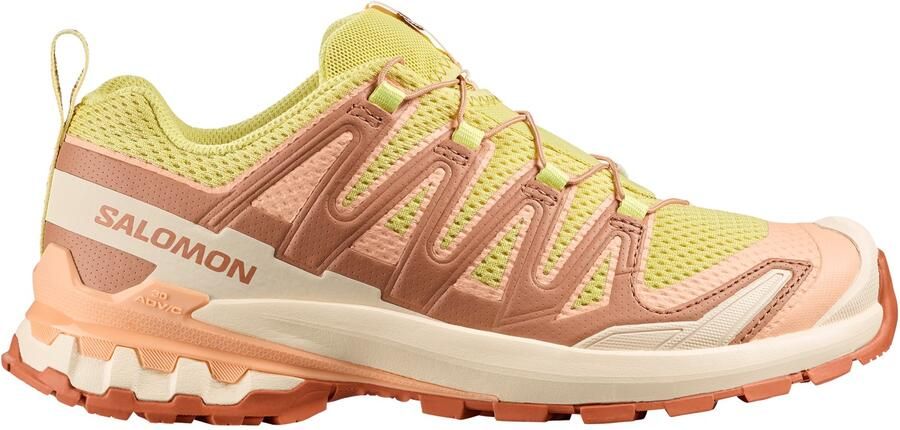 Salomon Women's XA Pro 3D V9 Multisportschoenen 2 3 beige