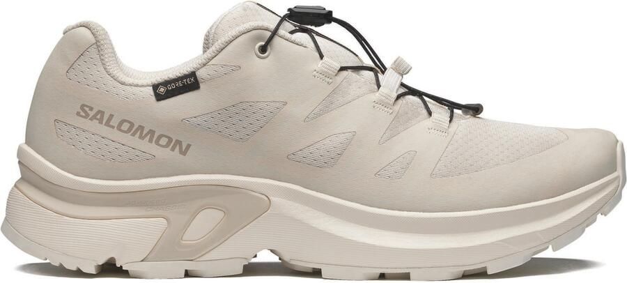 Salomon Women's XT-Evr GORE-TEX Sneakers 2 3 grijs beige